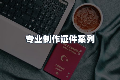 专业制作证件系列