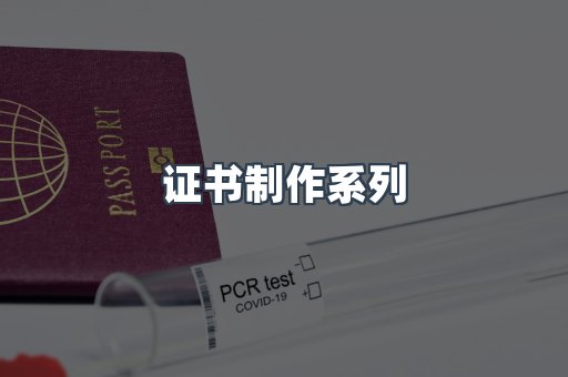 证书制作系列